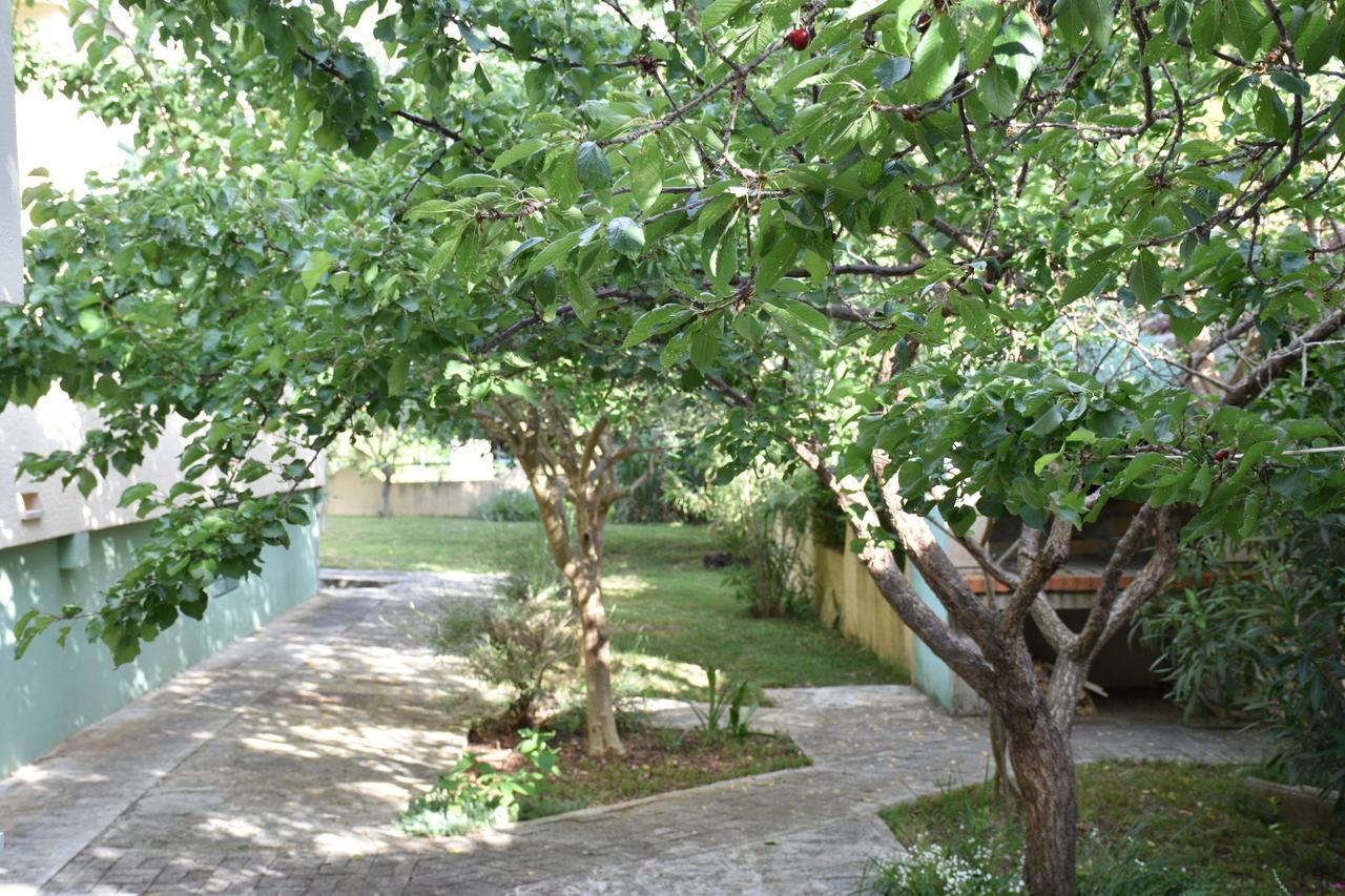 Apartments Antonija Punta Skala Next To Falkensteiner Resort 佩特坎内 外观 照片