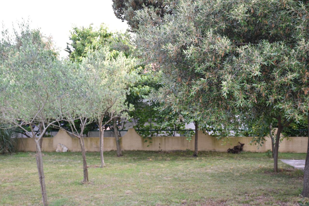 Apartments Antonija Punta Skala Next To Falkensteiner Resort 佩特坎内 外观 照片